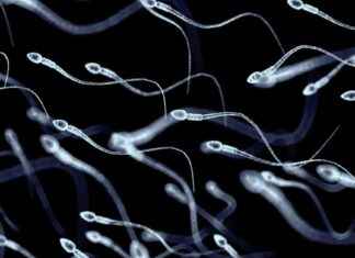 Study Suggests Longer Life for Men with Healthier Sperm study-suggests-longer-life-for-men-with-healthier-sperm
