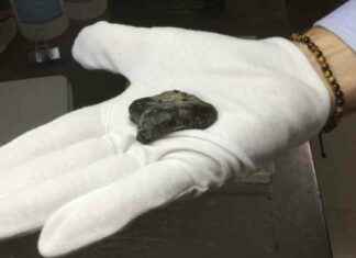 Ancient Homo erectus Bones Found on Indonesia’s ‘Drowned Land’ ancient-homo-erectus-bones-found-on-ndonesias-drowned-land