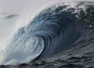 Ancient Tsunami Uncovered in Japanese Amber: Study Results ancient-tsunami-uncovered-in-japanese-amber-study-results