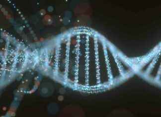 CRISPR Alternative Installs Whole Genes for Genetic Disorder Treatment crspr-alternative-nstalls-whole-genes-for-genetic-disorder-treatment