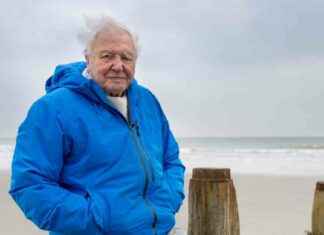 David Attenborough’s Powerful Ocean Message: A Must-Watch Film david-attenboroughs-powerful-ocean-message-a-must-watch-film
