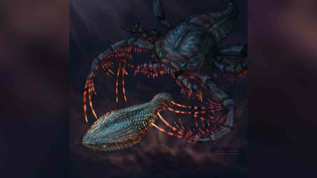 evolution-of-teeth-from-fish-body-armor-revealed-by-scientists