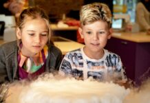 Science Comics: Unlocking the Fun and Fascination of Learning