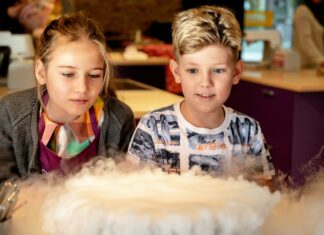 Science Comics: Unlocking the Fun and Fascination of Learning