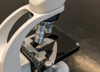 9th Grade Science: Unlock the Secrets to Mastering Concepts!