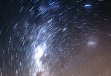 Trailside Nature and Science Center in Mountainside: Discover Nature’s Wonders