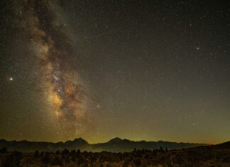Trailsides Nature And Science Center: Explore Nature’s Wonders