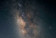 Teas Science: Unlocking The Secret Benefits Of Nature’s Elixirs