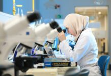 Political Science Major CSUEB Roadmap: Unlock Your Academic Path