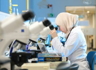 Political Science Major CSUEB Roadmap: Unlock Your Academic Path