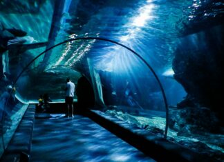 Medicine Park Aquarium and Natural Sciences Center: Explore Wonders