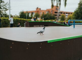 Behavioral Sciences Building: Unlocking Insights Into Human Nature