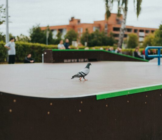 Behavioral Sciences Building: Unlocking Insights Into Human Nature