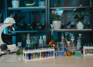 Science Experiments For 6th Grade Science Fair That Wow Judges