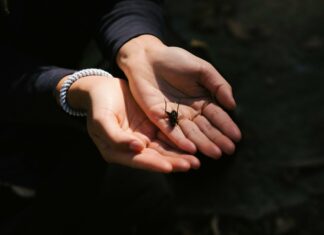 Elachee Nature Science Center: Discover Nature’s Hidden Wonders