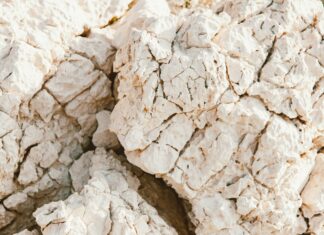 Is Environmental Science Hard? Discover The Truth Behind It!