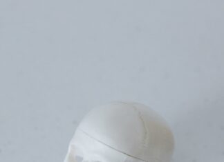 Hertzberg Davis Forensic Science Center: Unveiling Forensic Secrets