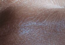 Center for Life Science Boston: Discover Innovations Shaping Health