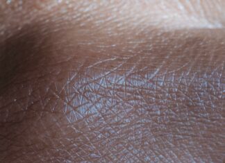 Center for Life Science Boston: Discover Innovations Shaping Health