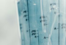 Science Diet Wet Cat Food: Discover The Secret To Feline Health