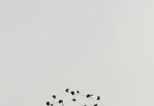 The New Science of Teaching and Learning Tokuhama: Unlock Insights