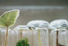 DWK Life Sciences: Unlocking Innovative Solutions for Your Lab