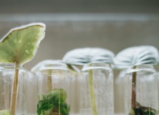 DWK Life Sciences: Unlocking Innovative Solutions for Your Lab