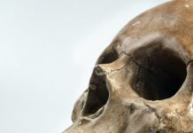 Forensic Science Jobs Near Me: Unlock Exciting Career Opportunities