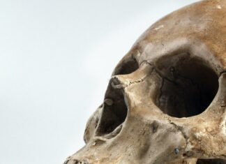 Forensic Science Jobs Near Me: Unlock Exciting Career Opportunities