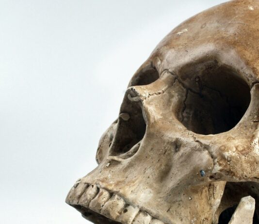 Forensic Science Jobs Near Me: Unlock Exciting Career Opportunities