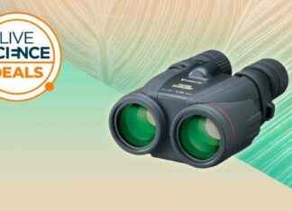 Sunday Special: Big Savings on Game-Changing Canon Binoculars for Bird Day sunday-special-big-savings-on-game-changing-canon-binoculars-for-bird-day