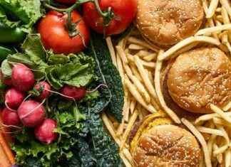 The Surprising Link Between Ozempic and Dietary Preferences the-surprising-link-between-ozempic-and-dietary-preferences