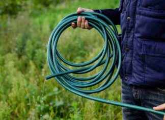 UK Hosepipe Ban: Latest Updates and Information 2021 uk-hosepipe-ban-latest-updates-and-nformation-2021