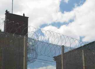 Understanding Chemical Castration: Concerns for Doctors and Sex Offenders understanding-chemical-castration-concerns-for-doctors-and-sex-offenders