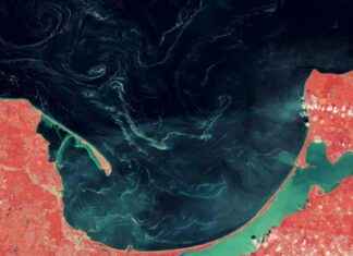 Unexplained Baltic Sea Substance Seen from Space unexplained-baltic-sea-substance-seen-from-space