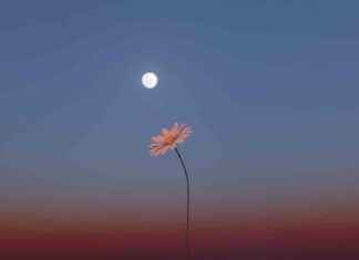 Watch May’s ‘Flower Moon’ Rise as a Micromoon watch-mays-flower-moon-rise-as-a-micromoon