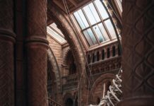 Animal Science Building: Discover Innovations Transforming Research