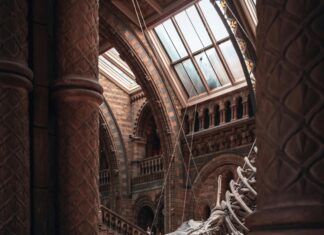 Animal Science Building: Discover Innovations Transforming Research