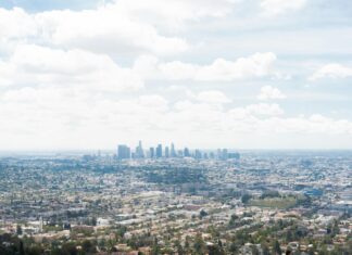 Science Has Not Yet Taught Us If Our Dreams Hold The Key