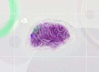 Postdoc In Network Science 2024: Unlock Your Research Potential