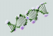 Life Science Labs: Discover Innovations Transforming Research Today