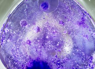 Acs Central Science Impact Factor: Why It Matters For Research