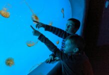 7th Grade Science TEKS: Unlock Engaging Learning Strategies Today