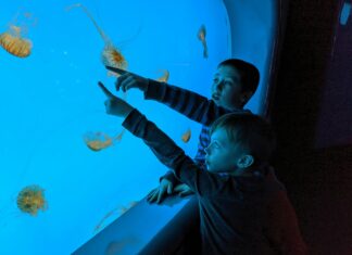 7th Grade Science TEKS: Unlock Engaging Learning Strategies Today