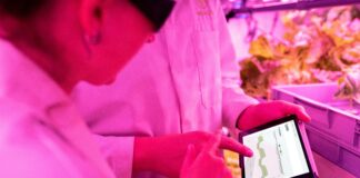 Science Driven Insights: Unlocking Secrets for Better Innovations