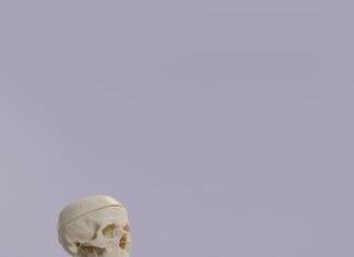 Social Science Citation Index: Unlocking Research Impact Secrets