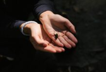 Trailside Nature & Science Center: Discover Nature’s Wonders Today!