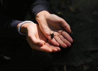 Trailside Nature & Science Center: Discover Nature’s Wonders Today!