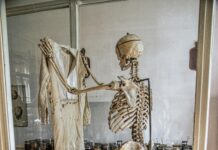 Funny Science Shirts: Discover Hilarious Tees That Spark Curiosity!