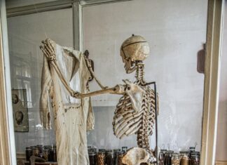 Funny Science Shirts: Discover Hilarious Tees That Spark Curiosity!